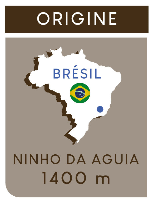 Ce café de variété catuai à La Fazenda Ninho da Aguia se situe sur les pentes du Pico da Bandeira, à 1400 m d'altitude, au sein d'une forêt préservée où le café pousse sous ombrage.
nous offre des notes gourmandes de fruits rouges, caramel et chocolat.
Café Guzo
Atlas des saveurs