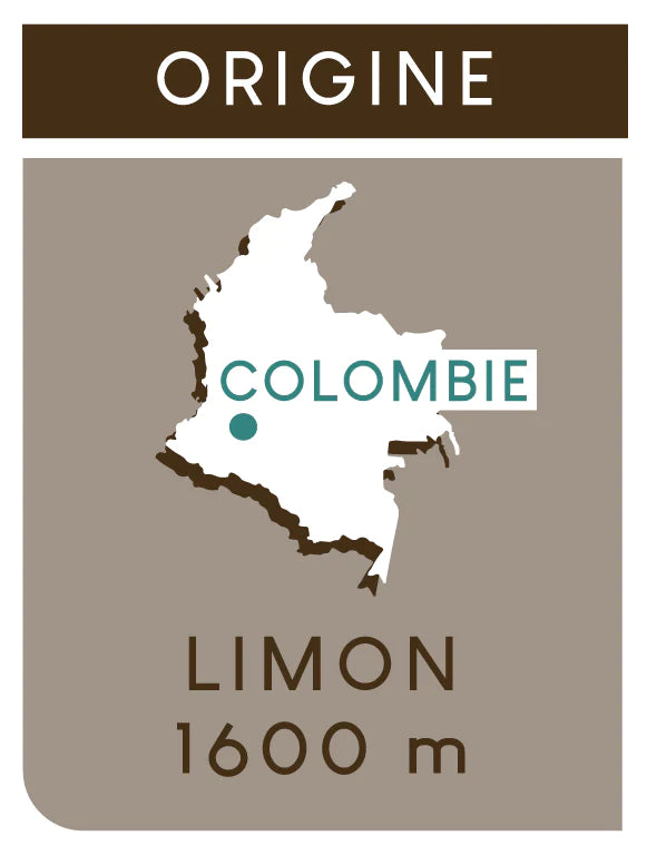 Café COLOMBIE LIMON - Arôme : agrume, caramel 250gr Pure Origine, sucre brun - Café Guzo -  Atlas des Saveurs - 100% arabica 